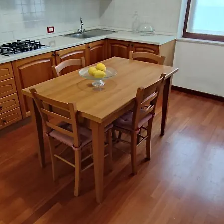 Daily House *